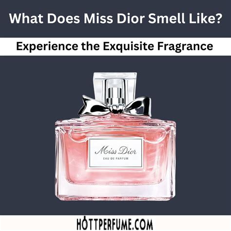 miss dior perfume the bay|what does Miss Dior smell like.